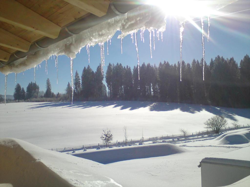 a group of icicles hanging from a roof over a snow covered field at ALLGÄU HAUS in Isny im Allgäu