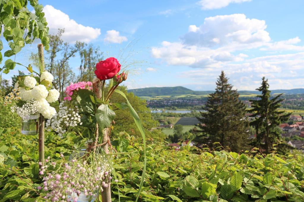 una rosa roja sentada sobre un campo de flores en Hotel Kochsberg, en Grebendorf