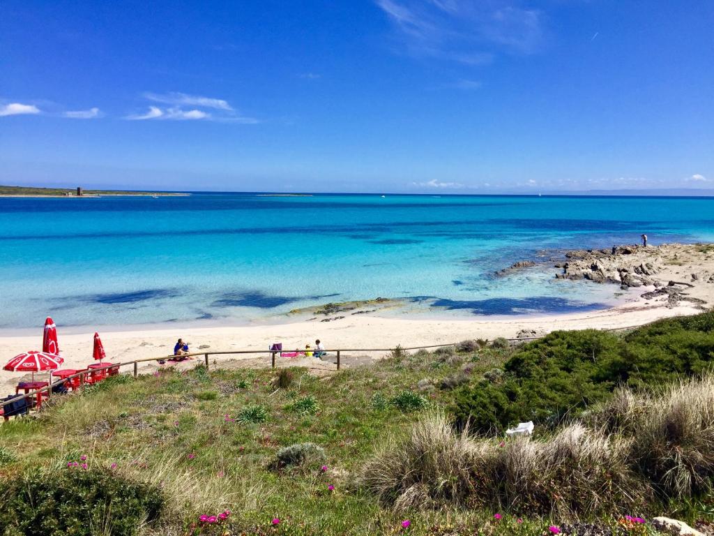 una spiaggia con persone che camminano sulla sabbia e sull'oceano di Appartamento vista mare Palau a Palau