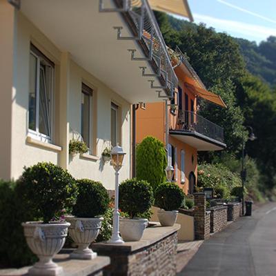 a row of plants in pots on a sidewalk next to a building at Haus Schönblick in Bad Bertrich