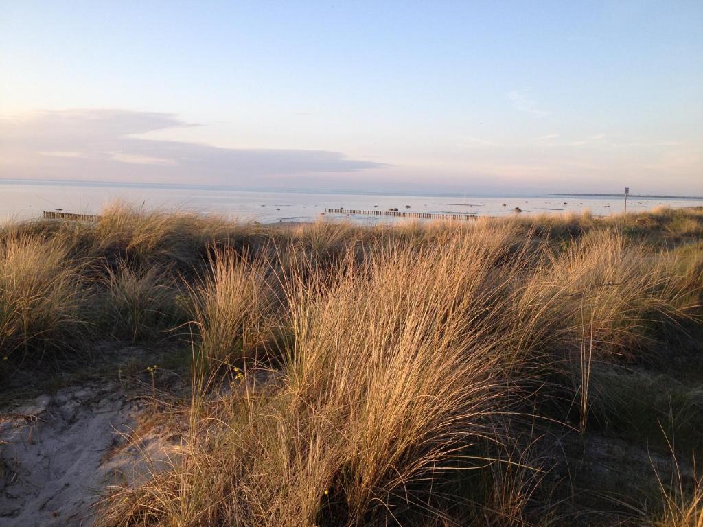 ein Feld mit hoher Wiese am Strand in der Unterkunft Bungalow Ostseeblick in Insel Poel