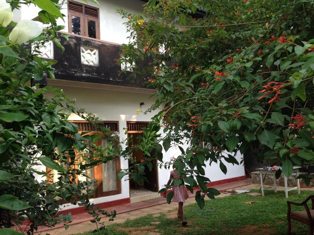 希卡杜瓦的住宿－Nimal`s Homestay，白色的房子,有一棵红花树