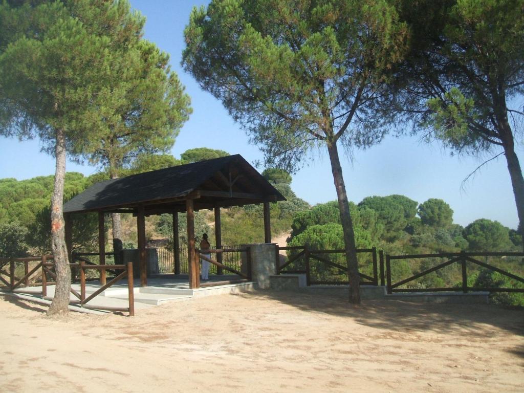 schronisko piknikowe z drzewami w tle w obiekcie Apartamentos Rurales Sierra Luna w mieście Andújar