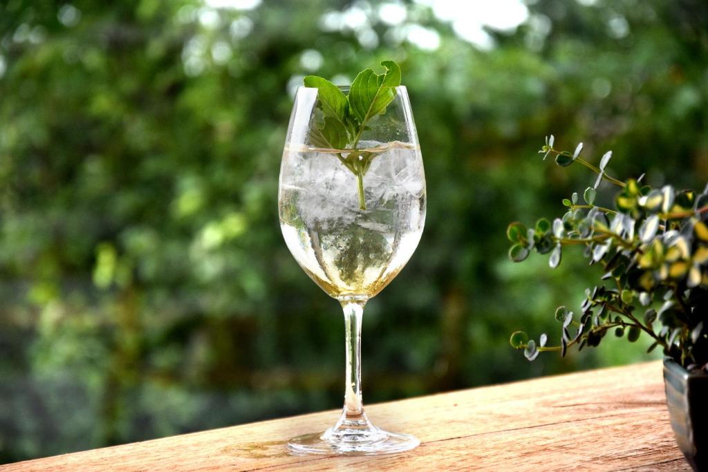 Nápoje v ubytování Wellnessgarten-Hotel
