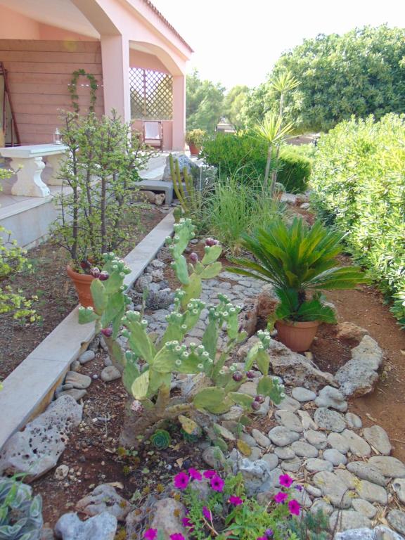 A garden outside I Giardini Dell'Agave