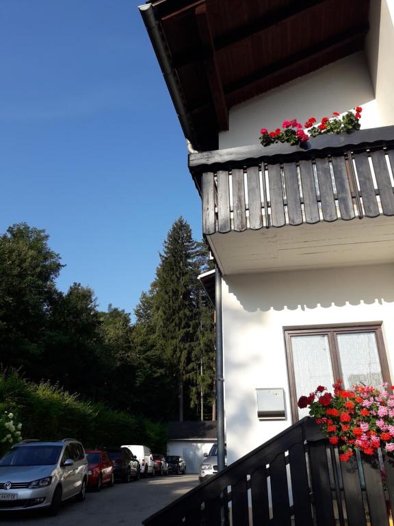 The building in which a panziókat is located
