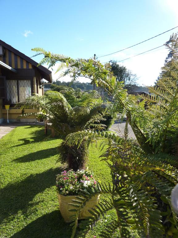  Pousada Casa Amarela