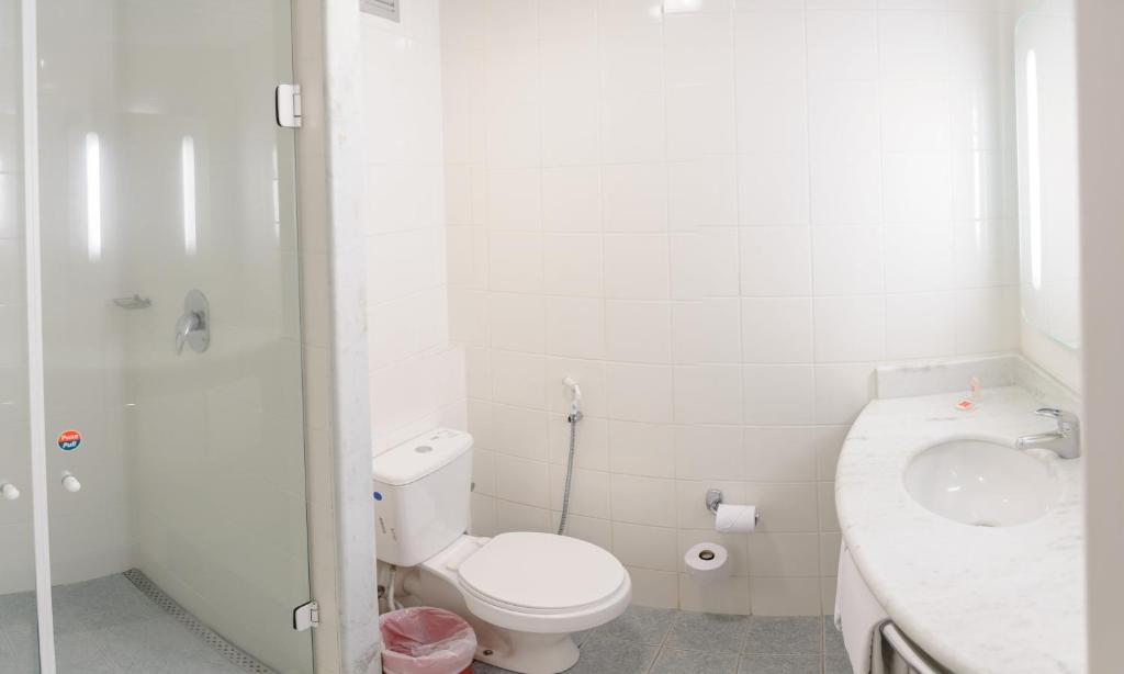  ibis Joinville