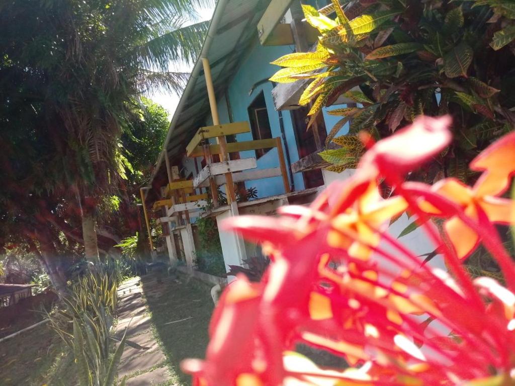 uma casa com uma flor vermelha à frente dela em A Pousada da Praia em São Luís