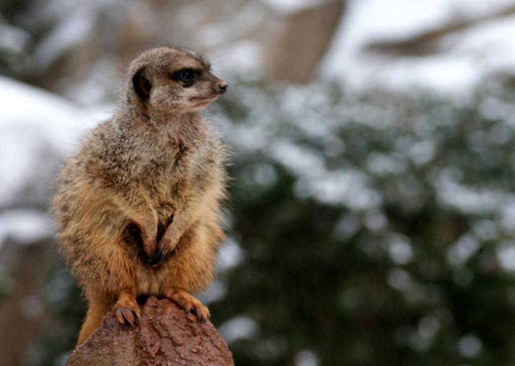 Travel24 Hotel Leipzig City - Resim 23