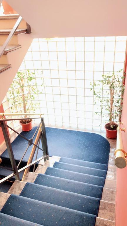 Hotel Maxim - Resim 16