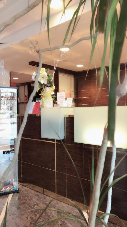 Hotel Maxim - Resim 13