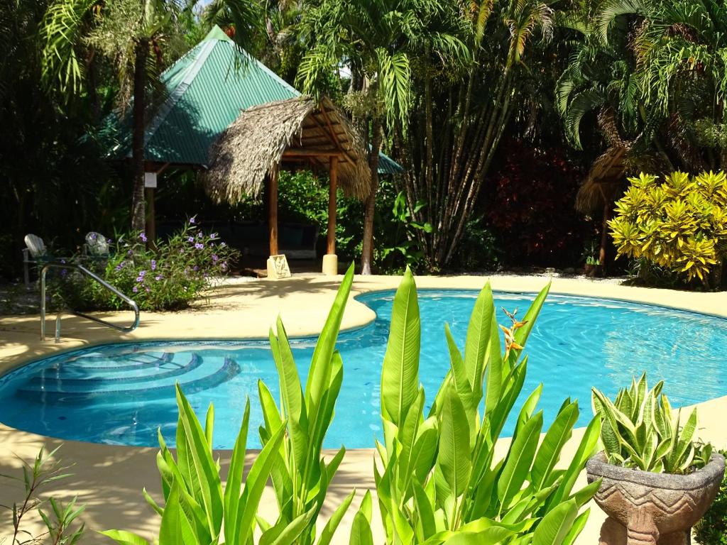 a swimming pool with a gazebo and some plants at Indigo Yoga Surf Resort in Mal País