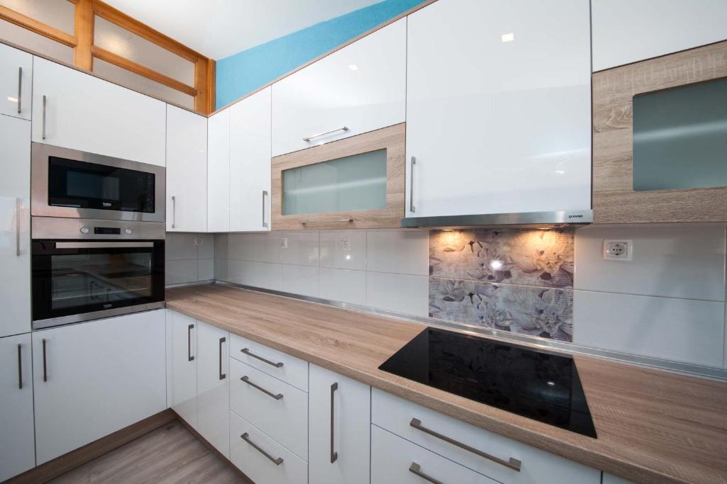 Kuchyň nebo kuchyňský kout v ubytování Apartman Josipa