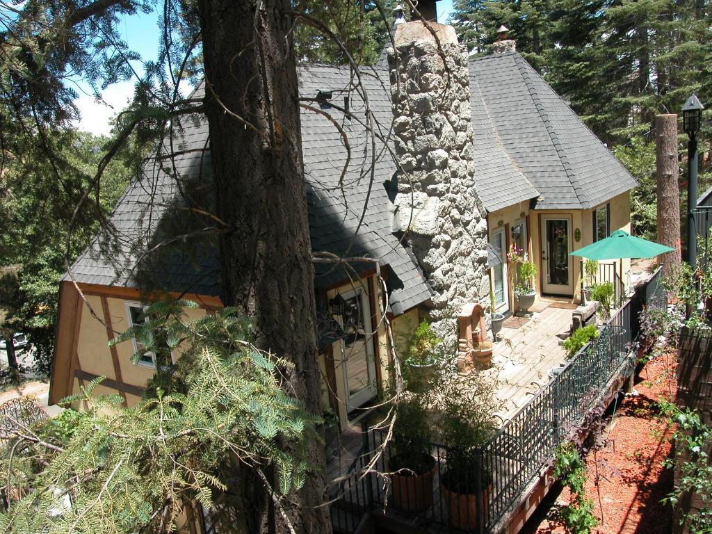 FLEUR DE LAC EUROPERAN INn - Alpine