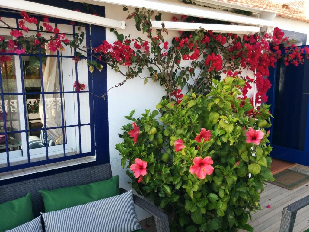 Zahrada ubytování El Vivero del Mar Menor