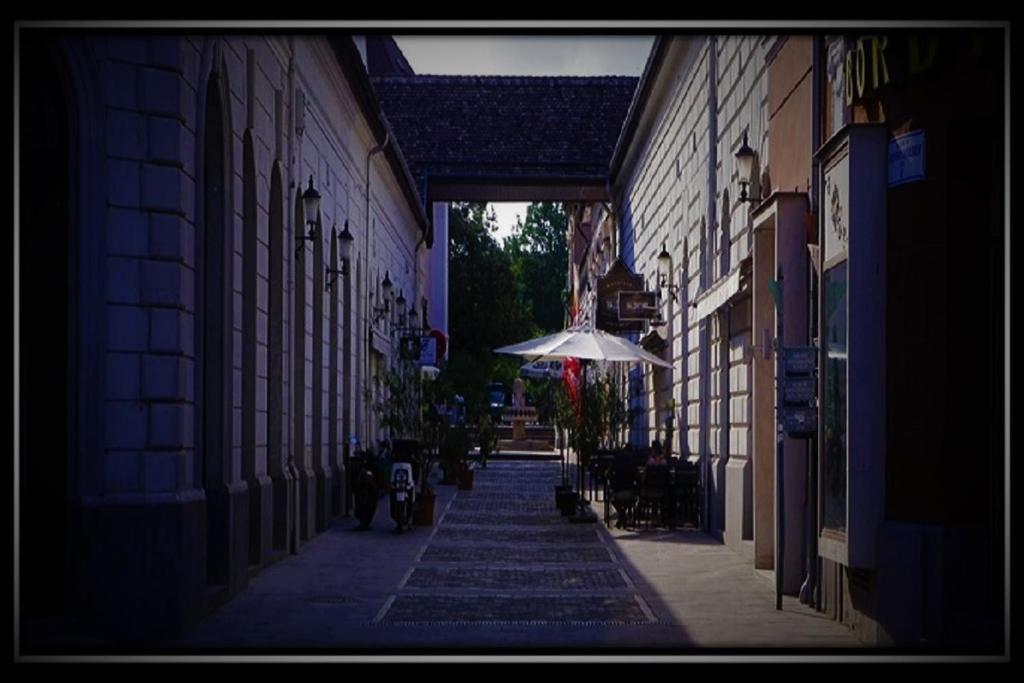 Okolí apartmánu