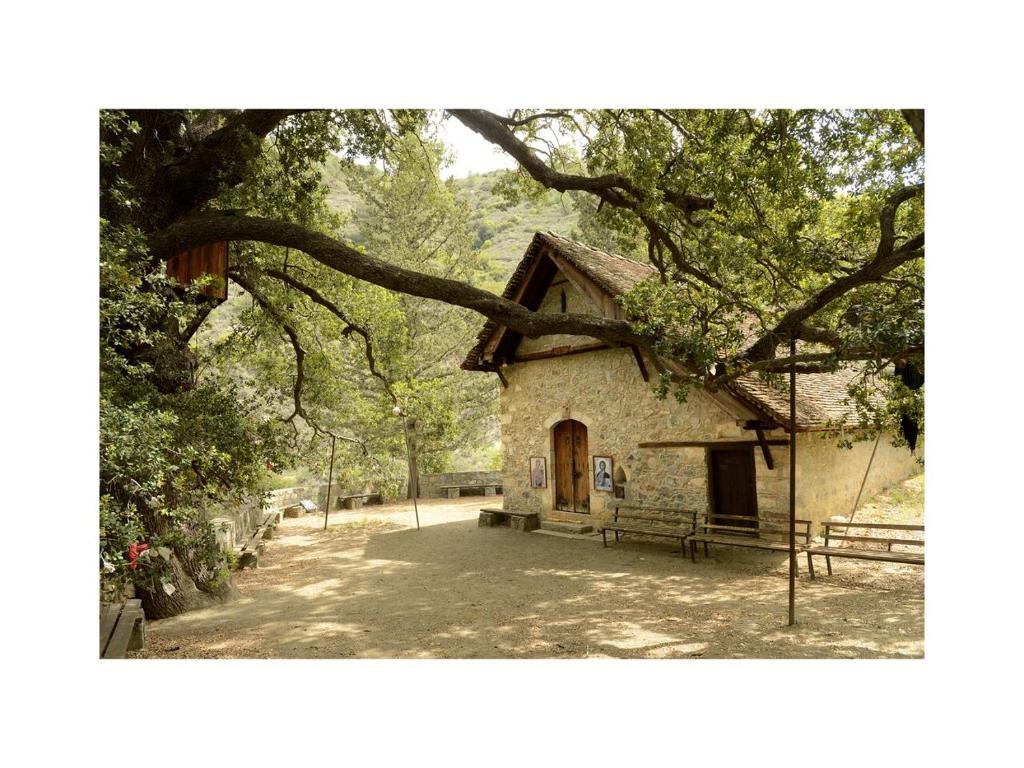 a small stone building with a bench under a tree at Casale Panayiotis in Kalopanayiotis