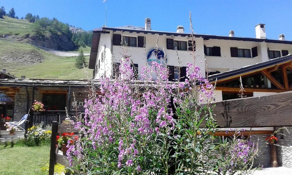 a house with purple flowers in front of it at Hotel Banchetta in Sestriere