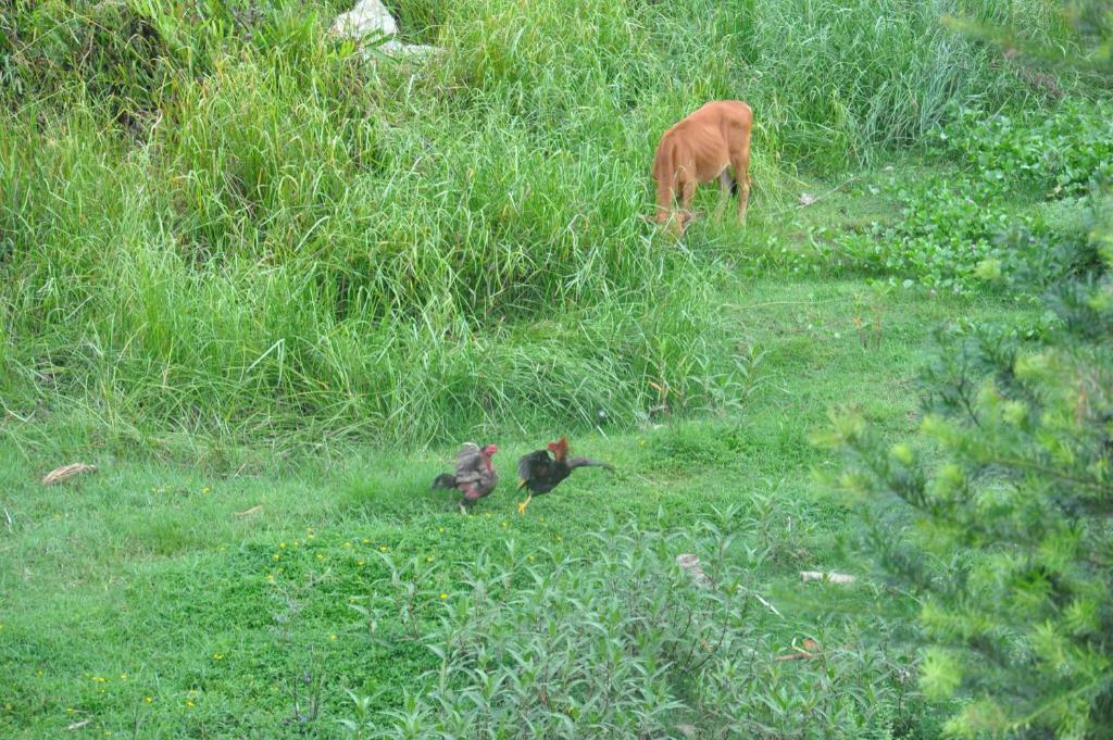 The Quin Riverside Villa - 13