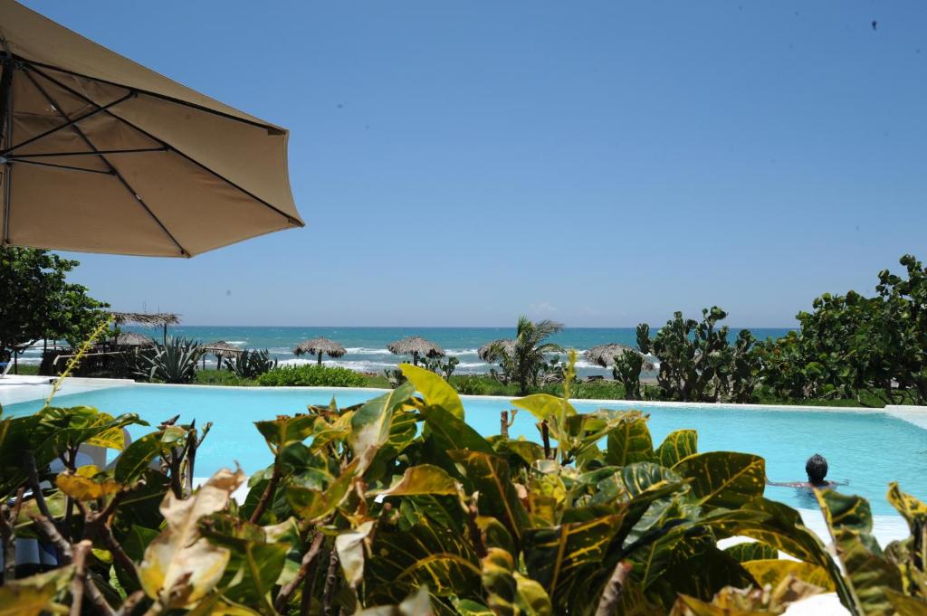 a view of a pool with an umbrella and plants at Hotel Istirinchá in Nautla