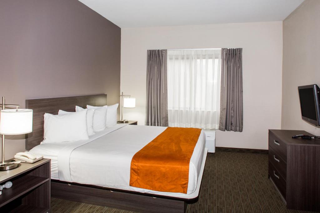 Days Inn & Suites by Wyndham Orlando Airport - King Room - Non-Smoking