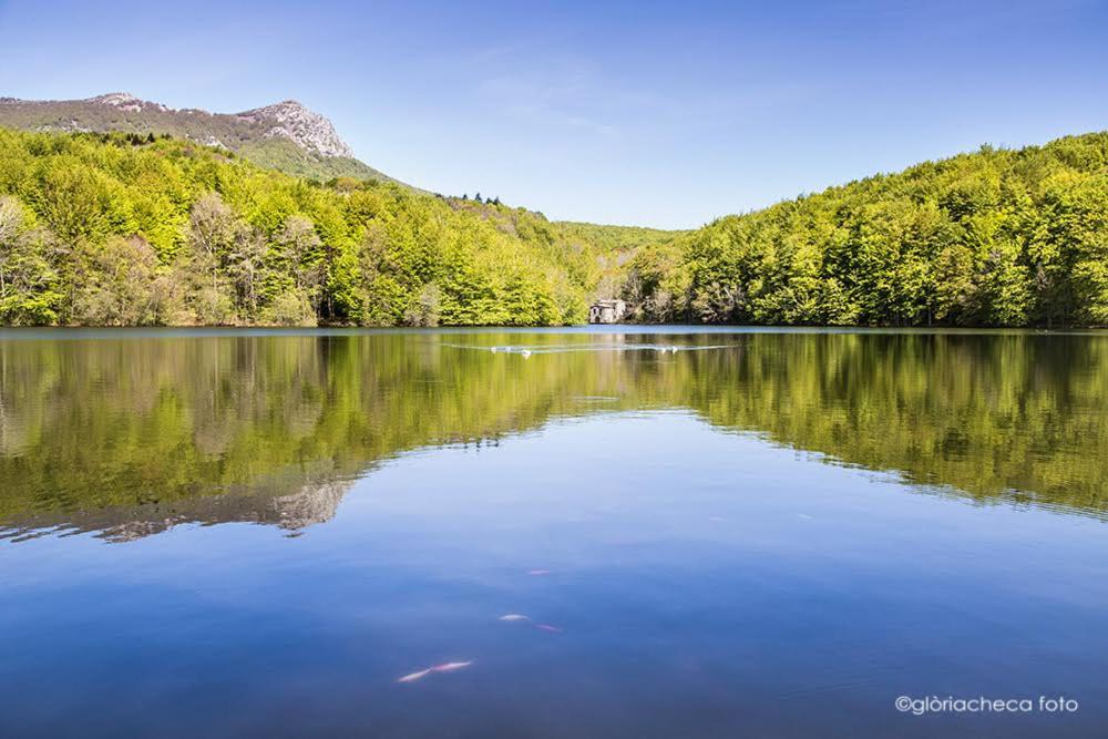 duży zbiornik wody z drzewami i górami w obiekcie Hostal l'Avet Blau w mieście Santa Fe de Montseny