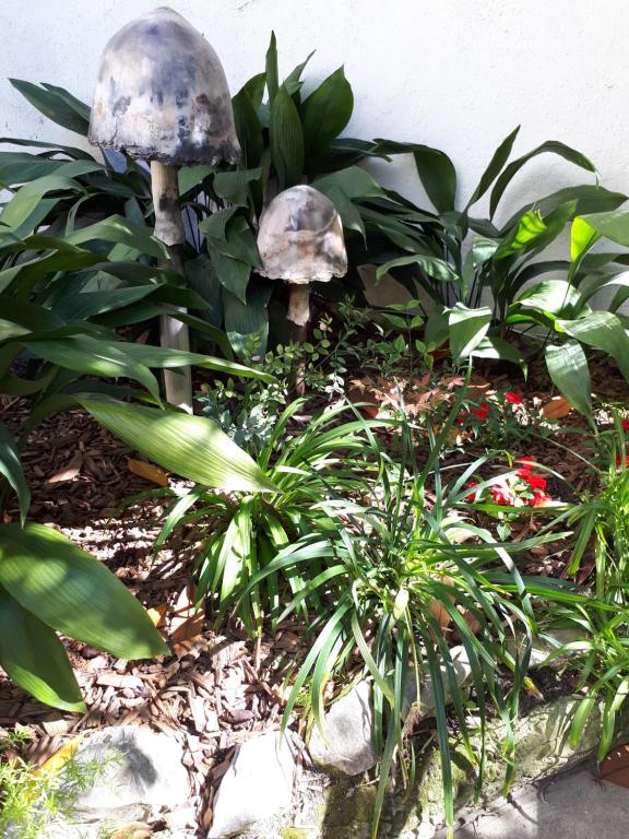 Le Ryad Boutique Hôtel