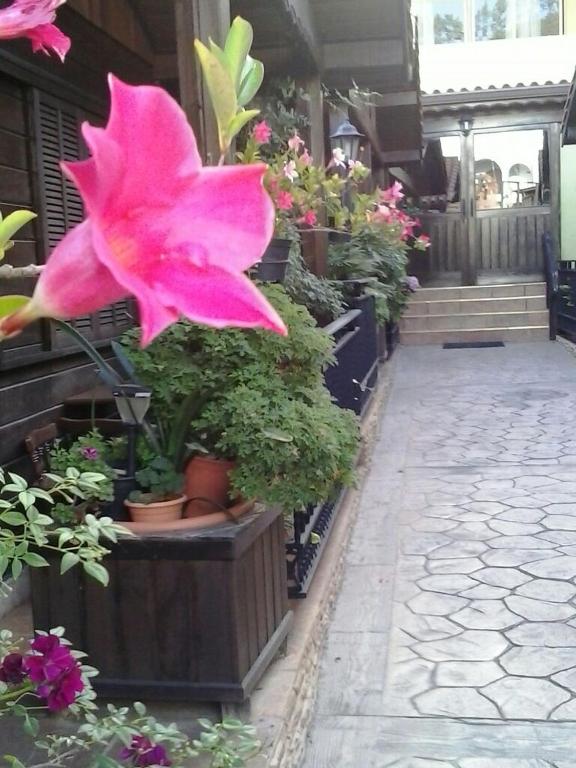 Zahrada ubytování Cabañas Valle Verde
