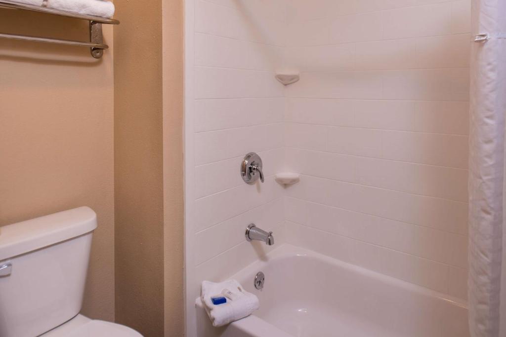 a bathroom with a tub and a toilet and a shower at Best Western Ambassador Inn & Suites in Wisconsin Dells
