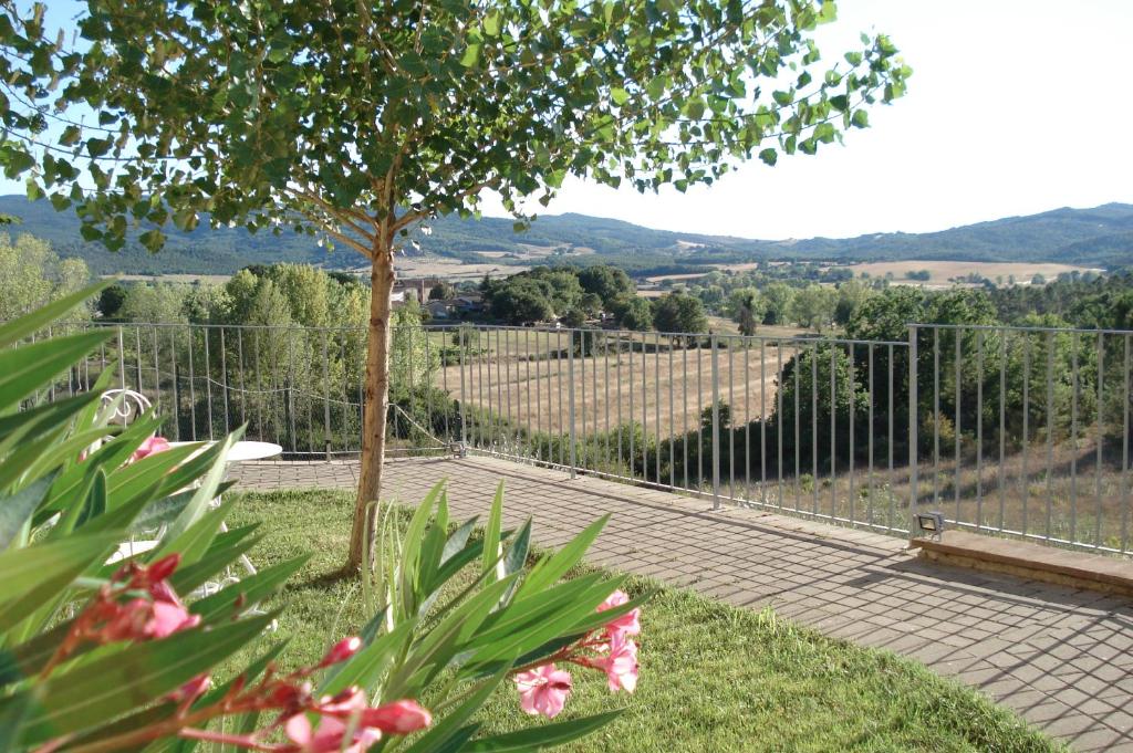 a garden with a bench and a view of a vineyard at Casa la Pineta in Pieve a Scuola