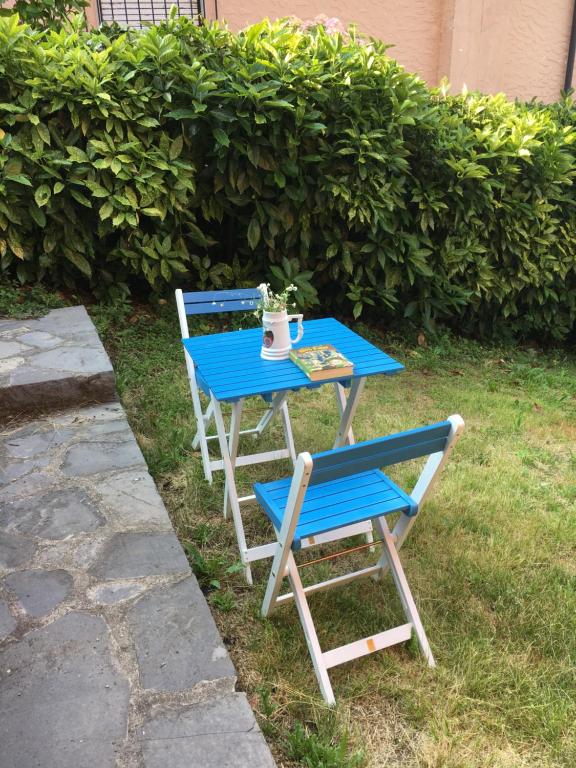 A garden outside Casa Irene