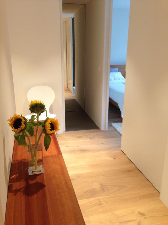 Fotografie z fotogalerie ubytování Carouge Loft Apartment v Ženevě