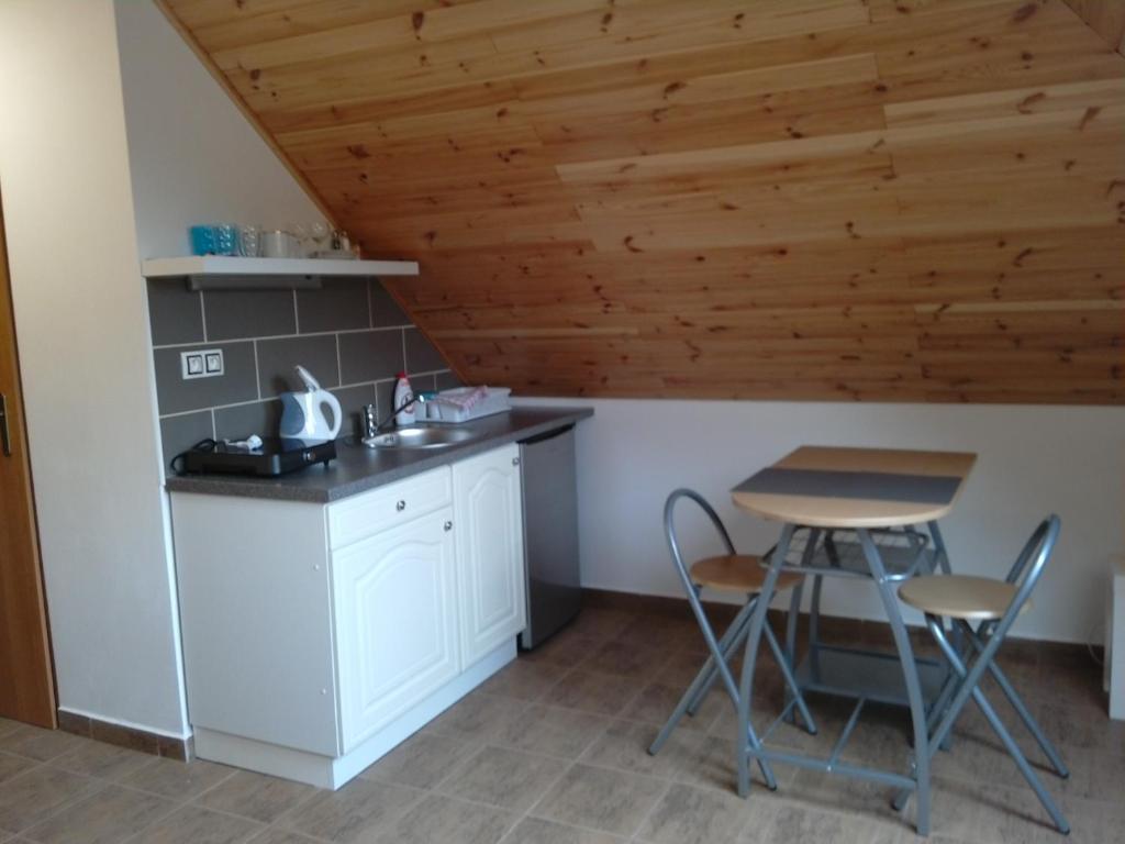 Kuchyň nebo kuchyňský kout v ubytování Apartmany Svijany