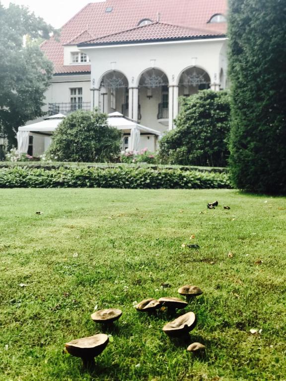 Zahrada ubytování Rezydencja Willa Park & Restauracja