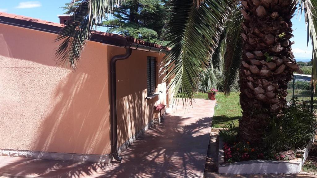 a house with a palm tree in front of it at Apartment Kika in Ližnjan