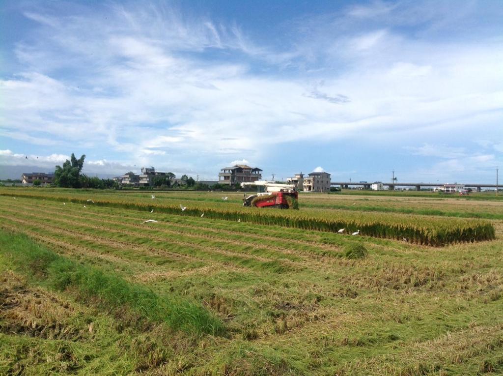 &#x7530;&#x91CE;&#x5C45;&#x6C11;&#x5BBF; &#x5E73;&#x9762;&#x5716;