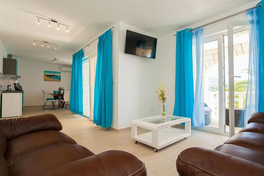 TV a/nebo společenská místnost v ubytování Villa Drinka Apartments
