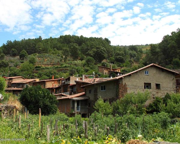 a group of houses on the side of a hill at Apartamento JALAMA 2B in Moraleja