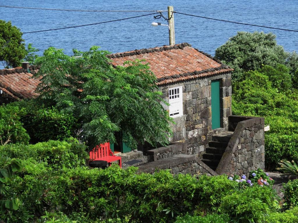 Zahrada ubytování Casa Adega Alto do Passinho