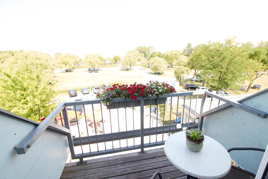 Hotel & Restaurant Seehof - 3