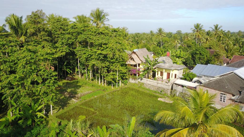 an aerial view of a house in a forest at Kembang Kuning Cottages in Tetebatu