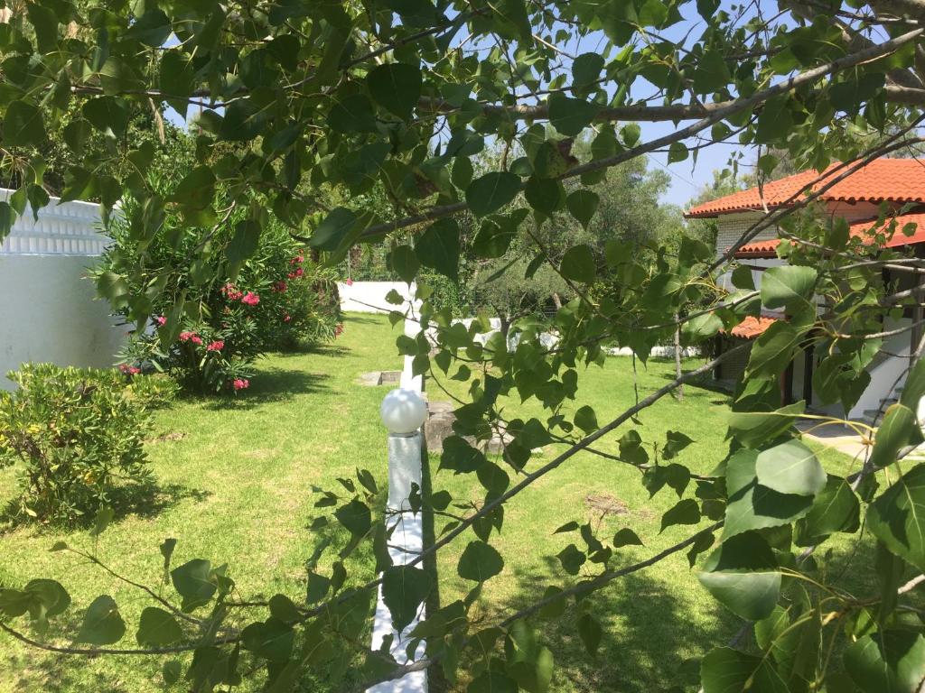 A garden outside Sea View Villa by Agora