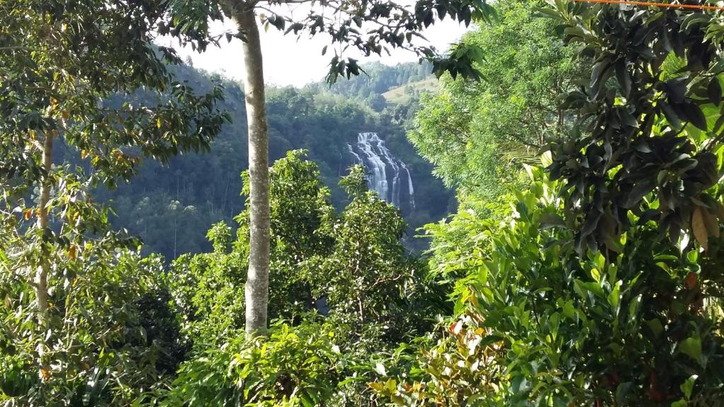 Ella Mount View Guest Inn - 13