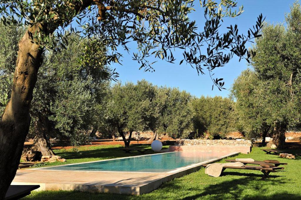 Bazén v ubytování Masseria Piccapicca nebo v jeho okolí