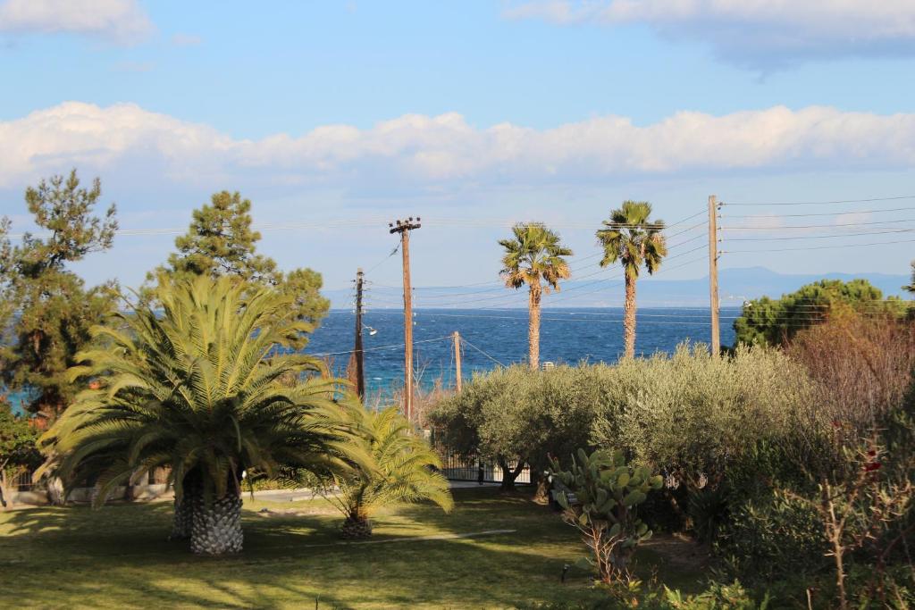 Táj Show holiday homes közelében