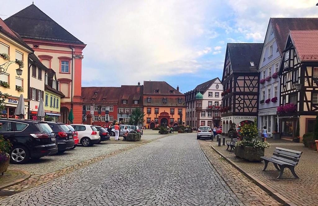 Imagen de la galería de Blackforest Home Gengenbach nahe Europapark Rust, en Gengenbach