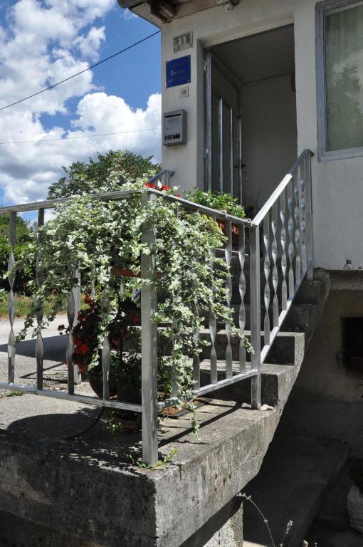 Ogród w obiekcie Apartment Marioni