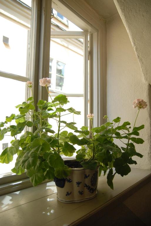 Hotel Sven Vintappare - Resim 18