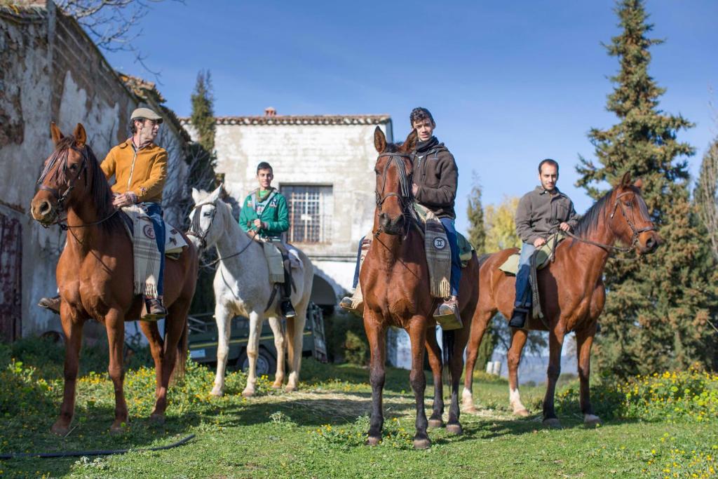 eine Gruppe von Menschen, die auf einem Feld reiten in der Unterkunft Cortijo El Berrocal in Cazalla de la Sierra